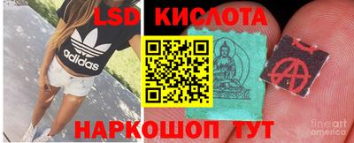 прущие грибы Новозыбков