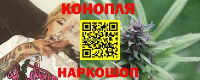 прущие грибы Новозыбков