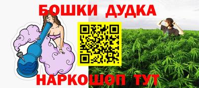 прущие грибы Новозыбков