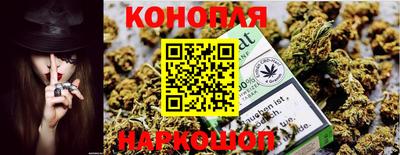 СК Новокубанск