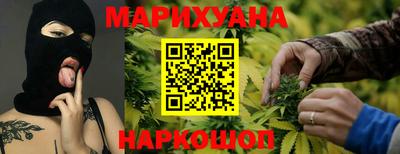 прущие грибы Новозыбков
