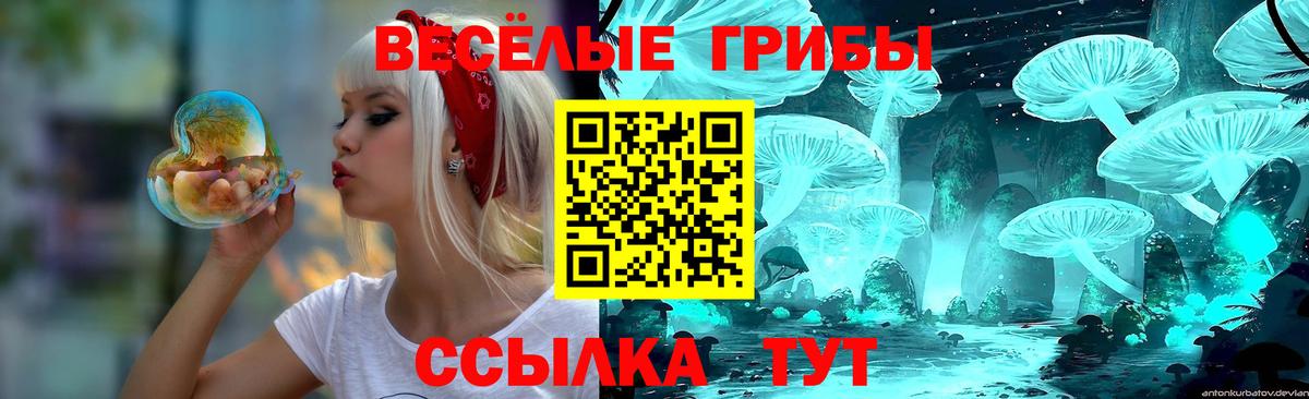 наркотики  Галлюциногенные грибы Psilocybine cubensis  Вход с VPN  Сланцы 